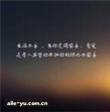 赵姐